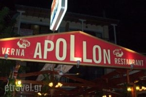 Apollon_food_in_Restaurant___Paleros