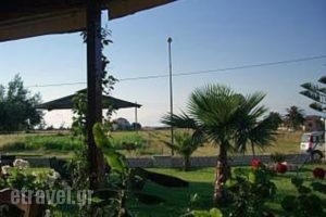 Zephyros Taverna_food_in_Restaurant___Thinali