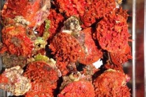 Akrogiali_food_in_Restaurant___ÍéêÞôç