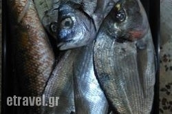 Karnagio in  Sami, Kefalonia, Ionian Islands