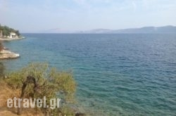 Tzortzis Tavern in Milos Rest Areas, Milos, Cyclades Islands