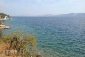 Tzortzis Tavern_food_in_Restaurant___Spetses