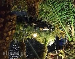 Blue Cafe Restaurant_food_in_Restaurant___Ligaria