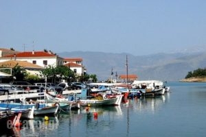 O Tassos_food_in_Restaurant___Galaxidi