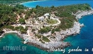 Sea Of Tastes_food_in_Restaurant___Pallini