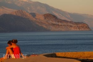 Cape Crocodile_food_in_Restaurant___Paleochora