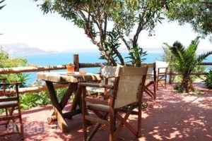 Emerald restaurant_food_in_Restaurant___Plaka