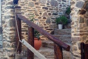 Cibo_food_in_Restaurant___Dryopida