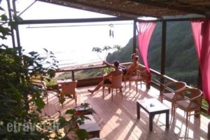 Secret Paradise Beach Bar_food_in_Restaurant___Gardenos