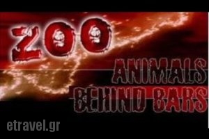 Zoo Bar Malia_food_in_Caf? and Bar___Stalida