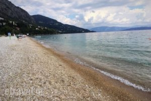 Nautilus Barbati Beach_food_in_Caf? and Bar___Mparmpati