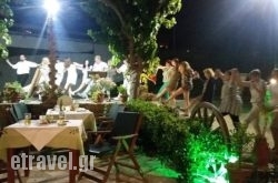 Pantelis Restaurant in Athens, Attica, Central Greece