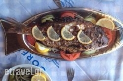 Taverna Malibu in Athens, Attica, Central Greece