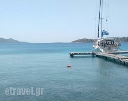 Taverna Kaduna_food_in_Restaurant___