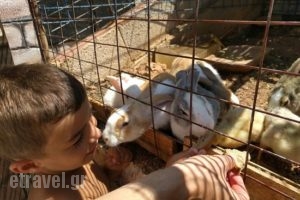 Country House cafe rasaurant & BBQ_food_in_Restaurant___Limenas Chersonisou