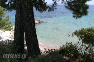 Papalimani Restaurant Beach Bar_food_in_Caf? and Bar___Thasos
