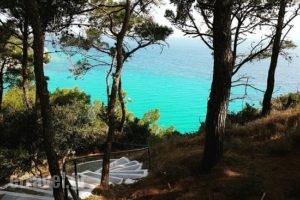 Navagos Beach Bar_food_in_Caf? and Bar___