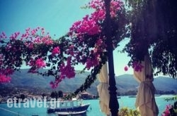 Spiros Restaurant in Athens, Attica, Central Greece