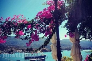 Spiros Restaurant_food_in_Restaurant___Poros