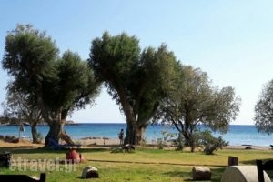 Restaurant Deilino_food_in_Restaurant___