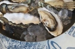 Ocean Basket in Athens, Attica, Central Greece