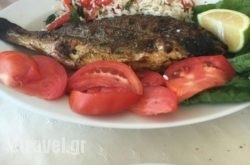 Plori in Athens, Attica, Central Greece