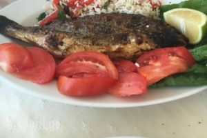 Plori_food_in_Restaurant___