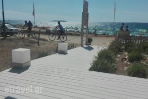 Souvlucky_food_in_Restaurant___Naxos