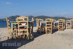 Taverna Pantazis_food_in_Restaurant___Nikiana