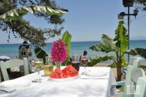 Kiani Akti Restaurant_food_in_Restaurant___Nea Kallikratia