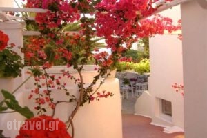 Le Sud_food_in_Restaurant___Naousa