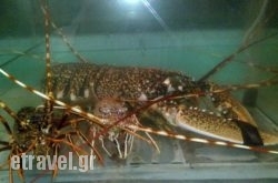 Limani Restaurant in Athens, Attica, Central Greece