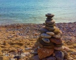 Apanemo Restaurant & Beach Bar_food_in_Restaurant___Skopelos