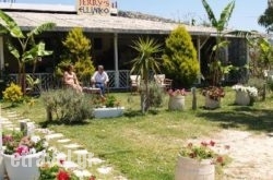 Jerry’s Elliniko in Athens, Attica, Central Greece