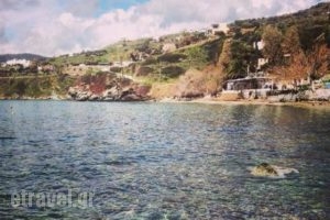 Mastrozannes Restaurant_food_in_Restaurant___