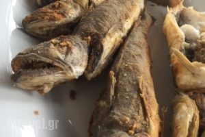 Almyra Antikyra_food_in_Restaurant___Antikira