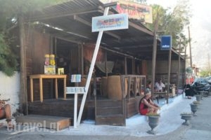 The Magic Bus_food_in_Caf? and Bar___Perissa