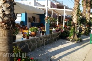 Emerald Restaurant_food_in_Restaurant___Gerani