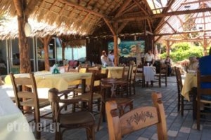 Meltemi_food_in_Restaurant___Stalos