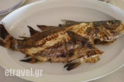 Meze Meze in Nisaki , Corfu, Ionian Islands