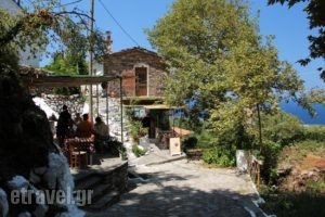 Pnaka_food_in_Restaurant___