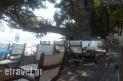 Mystique Beach Bar Restaurant in Skiathos Chora, Skiathos, Sporades Islands