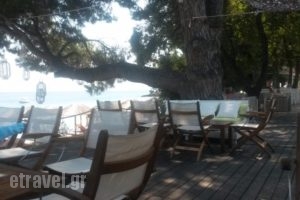 Mystique Beach Bar Restaurant_food_in_Caf? and Bar___Skiathos