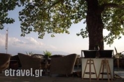 Mythos Music Cafe in Skiathos Chora, Skiathos, Sporades Islands