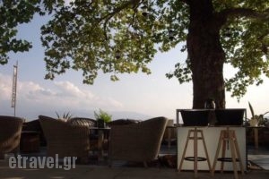 Mythos Music Cafe_food_in_Caf? and Bar___Kamena Vourla